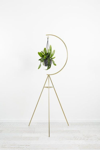 Anasay Premium Flower Stand
